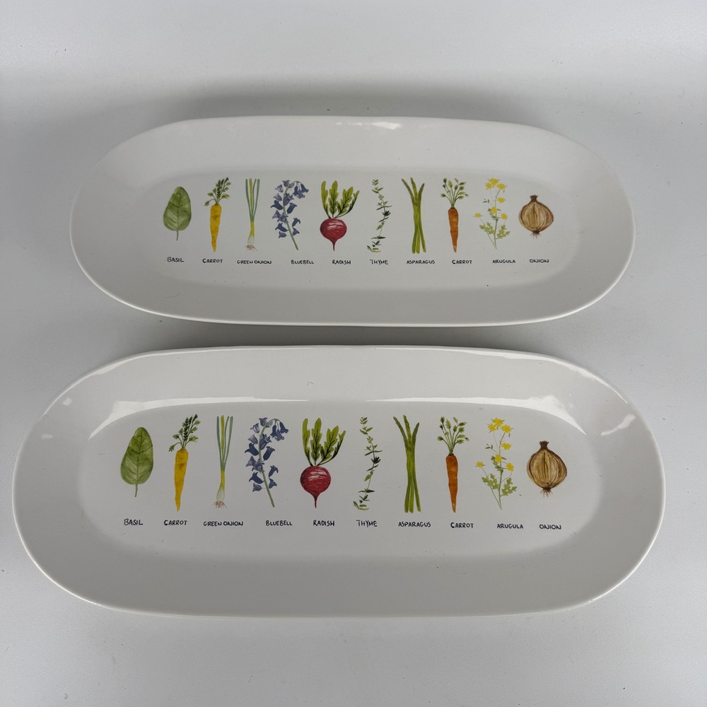 Tabletops Gallery Farm Fresh Stoneware Skinny Oval Platter Set of 2 TTU-U9169